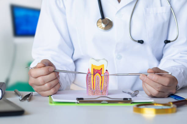 Best Emergency Dental Services for Seniors in Kaanapali, HI